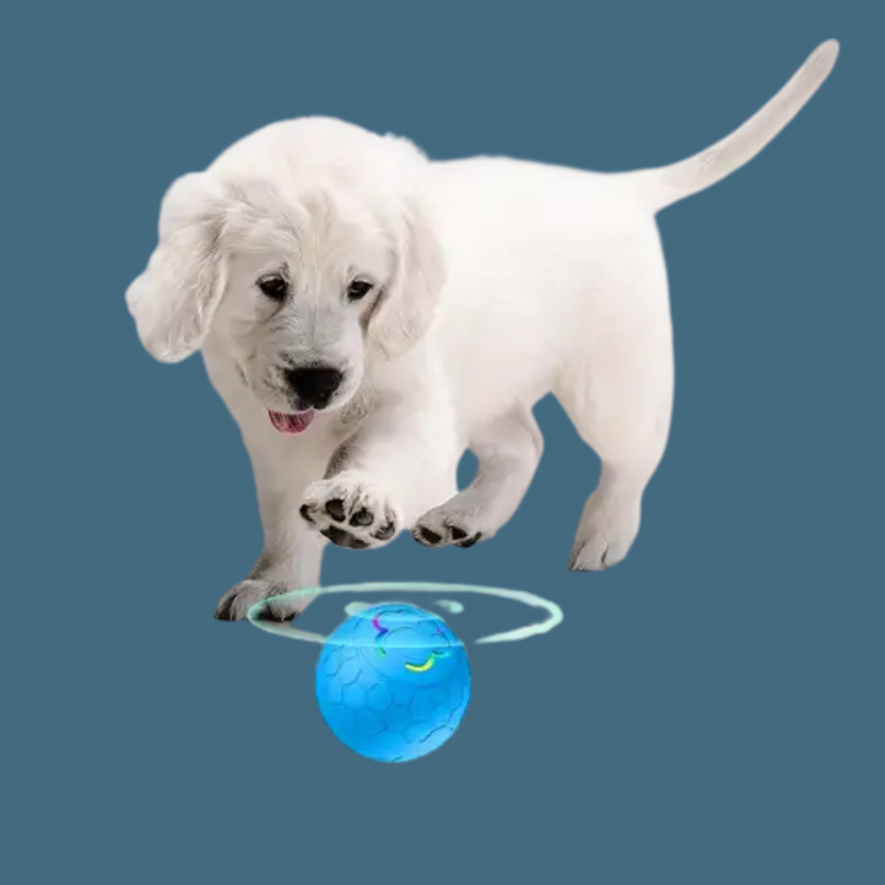 Electric Intelligent Remote Control Ball Gravity Jumping Ball