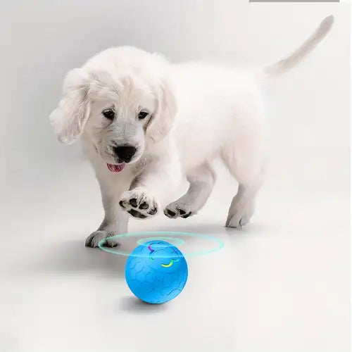 Electric Intelligent Remote Control Ball Gravity Jumping Ball